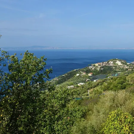 Luxurious Mansion In With Garden Sorrento