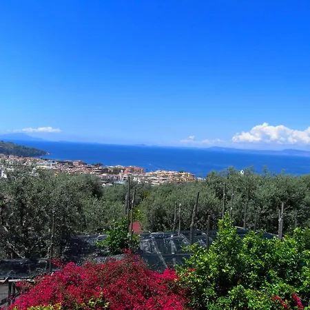 Luxurious Mansion In With Garden * Sorrento