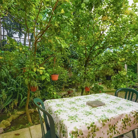 Luxurious Mansion In With Garden Holiday home