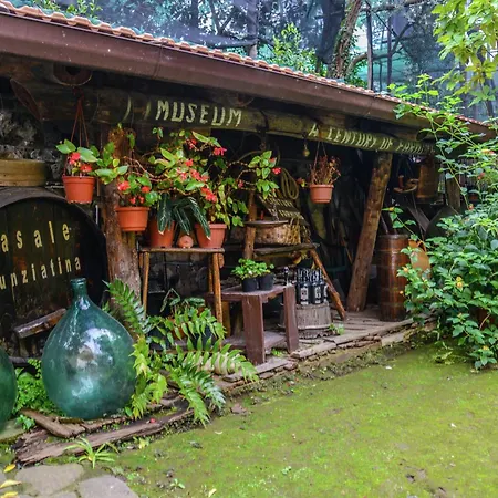 Luxurious Mansion In With Garden Holiday home Sorrento