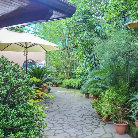 Luxurious Mansion In With Garden